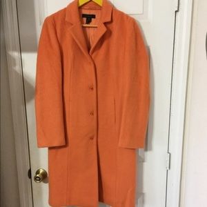 The limited coat